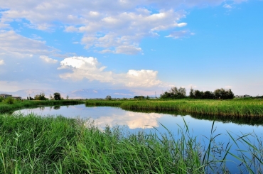 關于開展2018年上半年南京市建筑業施工企業信用評價（質量）申報工作的通知
